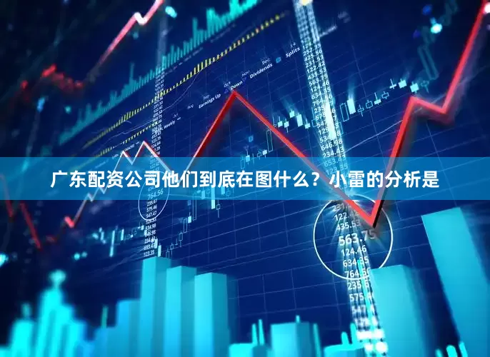 广东配资公司他们到底在图什么？小雷的分析是