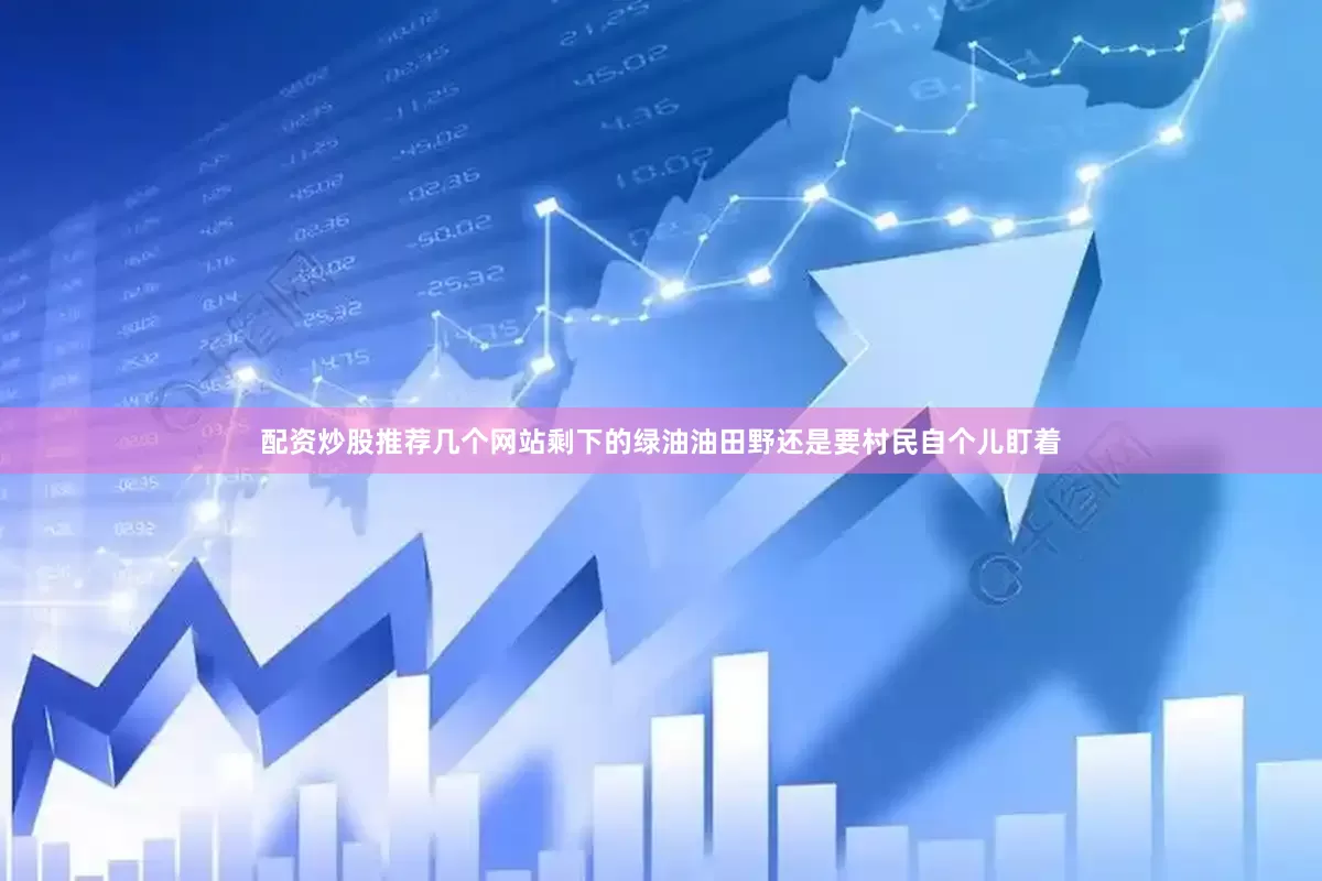 配资炒股推荐几个网站剩下的绿油油田野还是要村民自个儿盯着