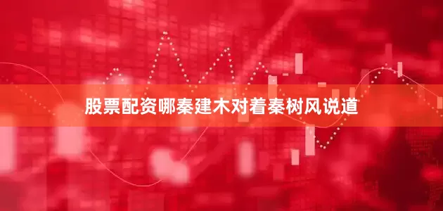 股票配资哪秦建木对着秦树风说道