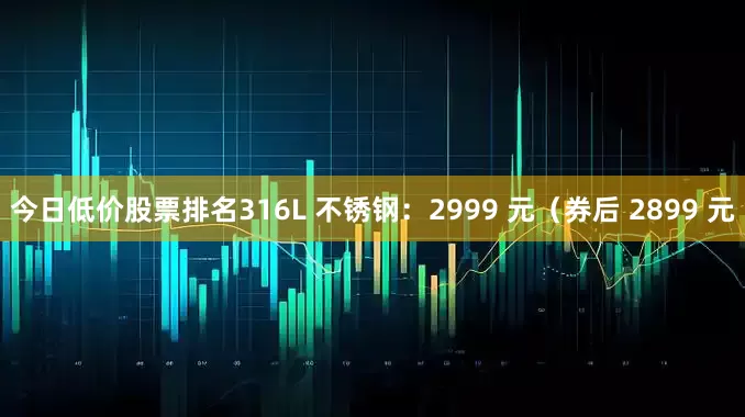 今日低价股票排名316L 不锈钢：2999 元（券后 2899 元